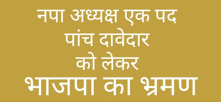 ब्यावरा: नपाध्यक्ष पद को लेकर पार्षदों का गुजरात भ्रमण, कतार मे खड़े पांच दावेदार