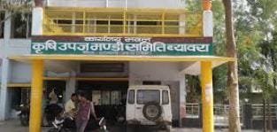 ब्यावरा कृषि मंडी, जहां बिना गेट पास के निकलती हैं अनाज भरी गाडियां,,,,,